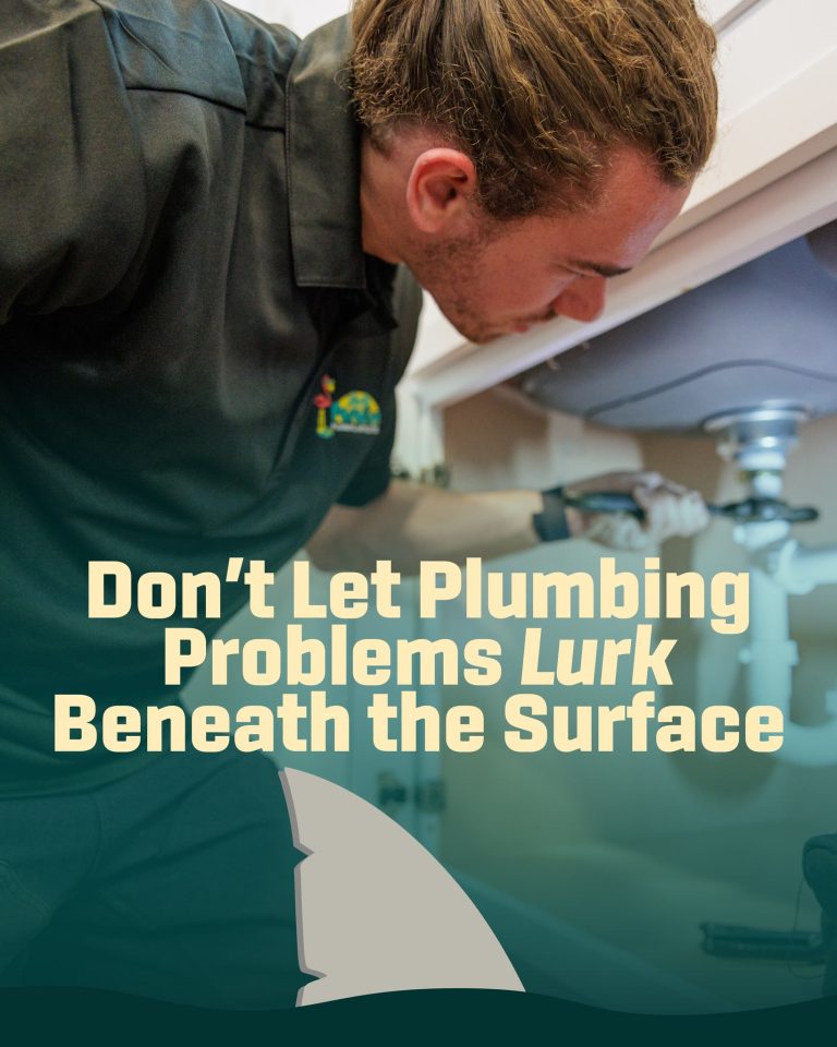 522677539 1311010427696458 9171023063193589262 n 768x960